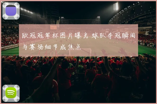 欧冠冠军杯图片曝光 球队夺冠瞬间与赛场细节成焦点