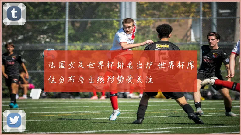 法国女足世界杯排名出炉 世界杯席位分布与出线形势受关注