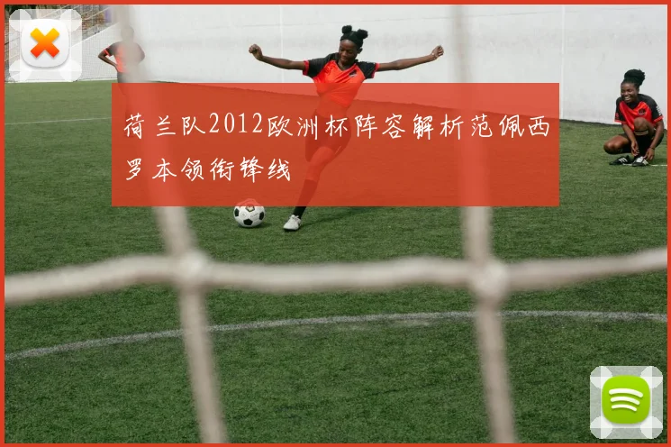 荷兰队2012欧洲杯阵容解析范佩西罗本领衔锋线