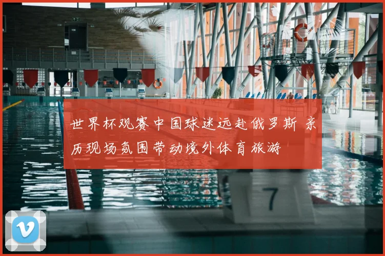 世界杯观赛中国球迷远赴俄罗斯 亲历现场氛围带动境外体育旅游